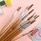 Incraftables Watercolor Paint Brushes Set (12 pcs). Round Art Paint Brushes for Watercolor Painting. Detail Water Color Paint Brushes for Adults, Professional Artists & Kids for Acrylic & Oil Painting